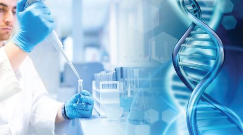 两地生物科技合作 联合发力，共筑生命科学新未来