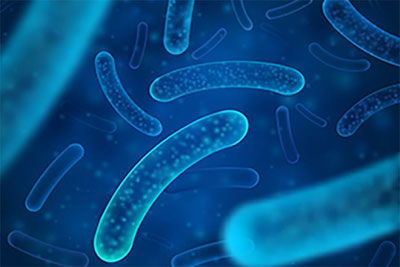 杜邦营养与生物科技专栏│免疫功效看临床 并非所有益生菌都一样